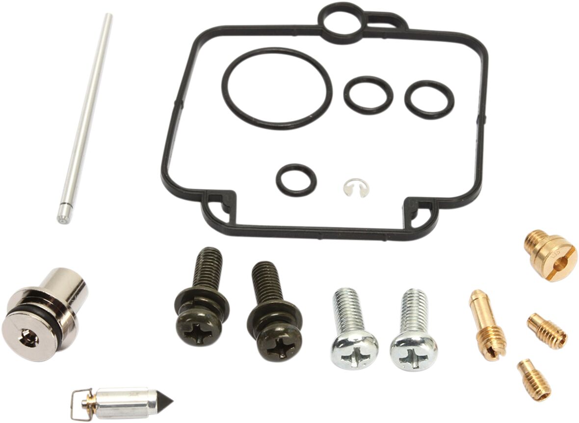 Carburetor Repair Kit