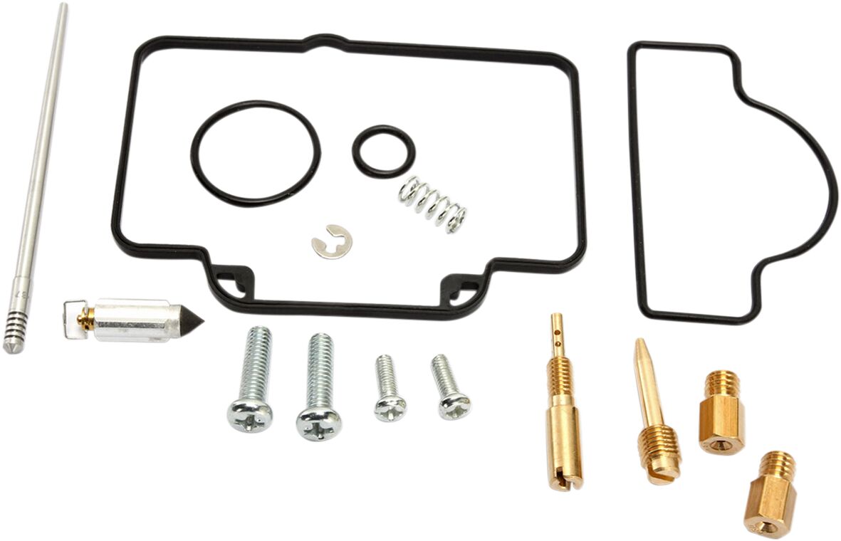 Carburetor Repair Kit