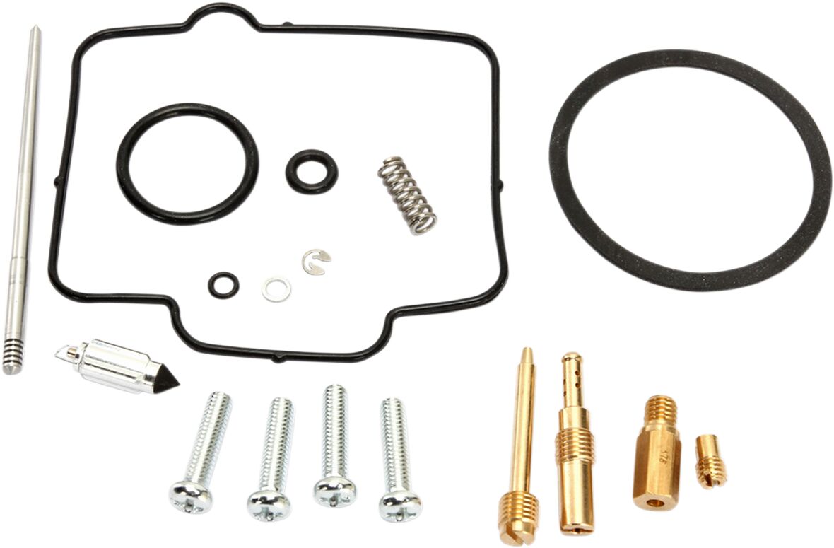 Carburetor Repair Kit