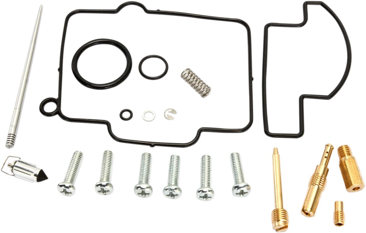 Carburetor Repair Kit