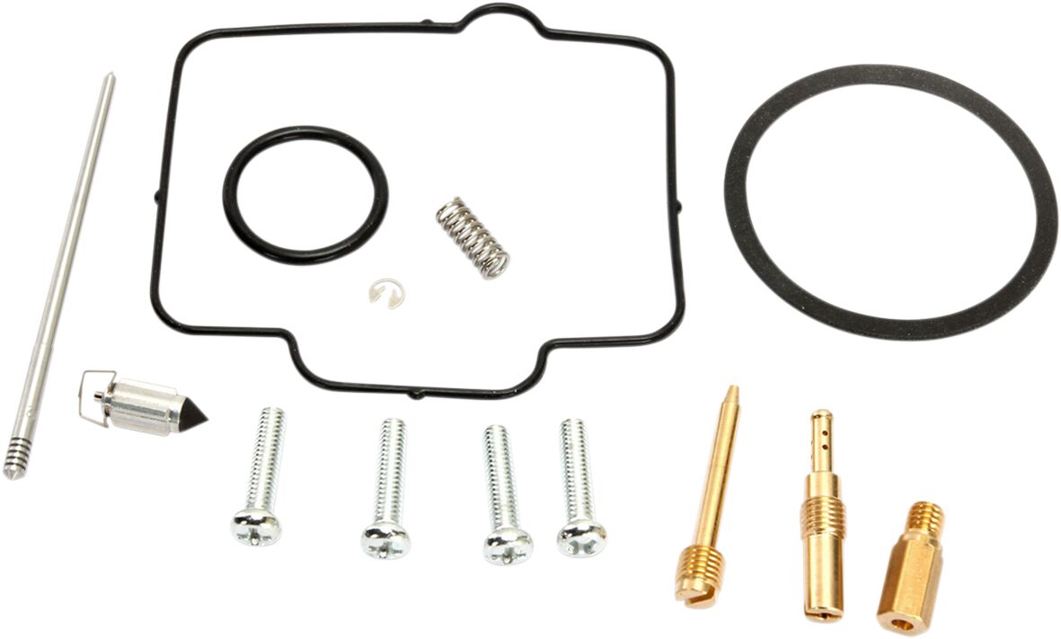Carburetor Repair Kit