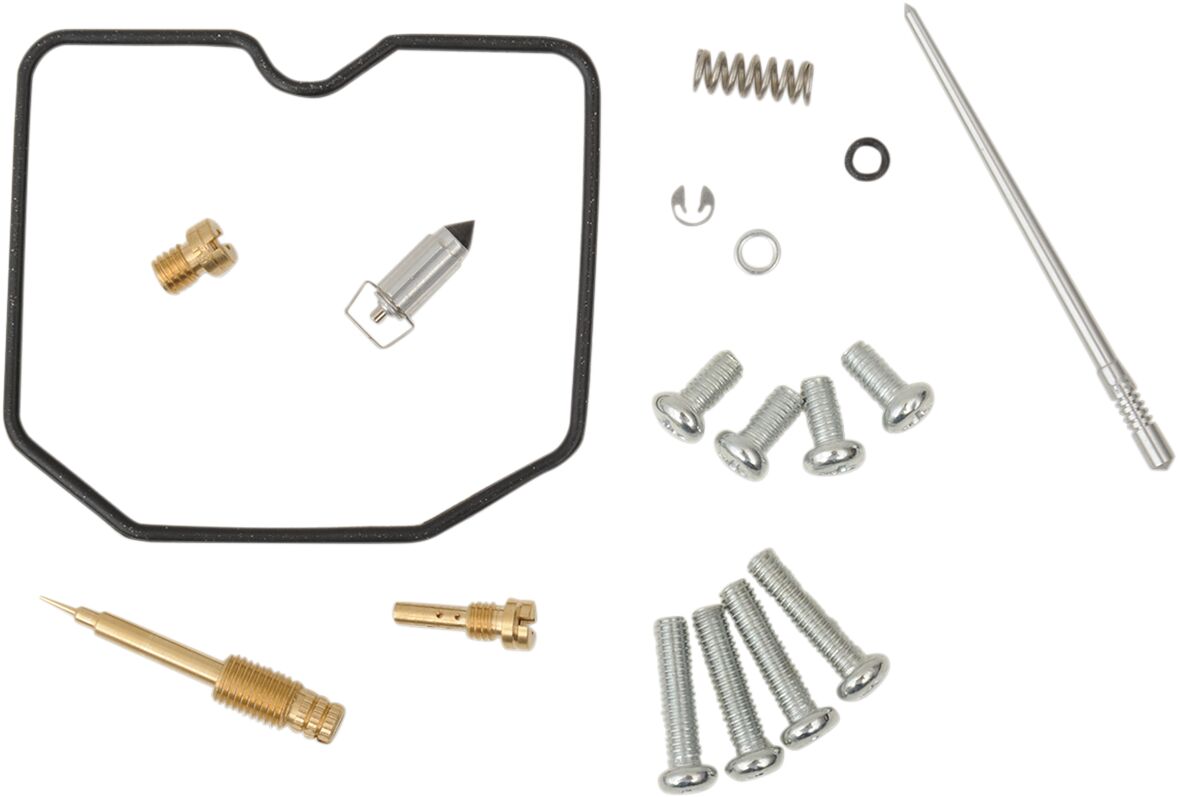 Carburetor Repair Kit