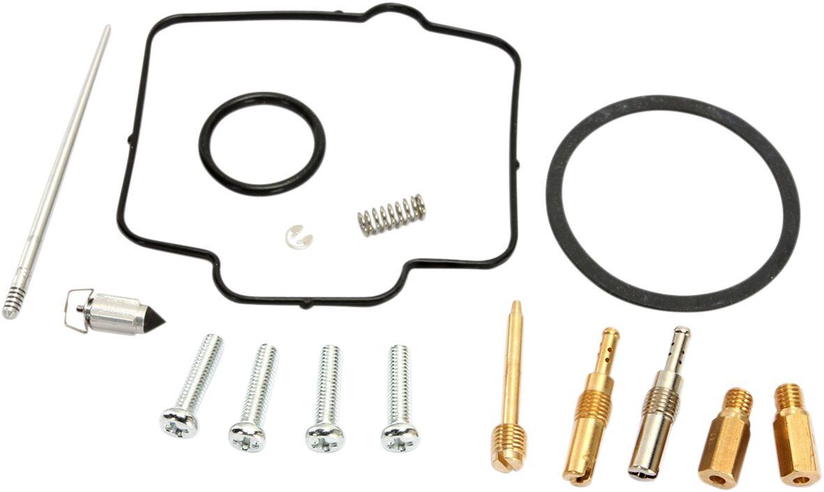 Carburetor Repair Kit