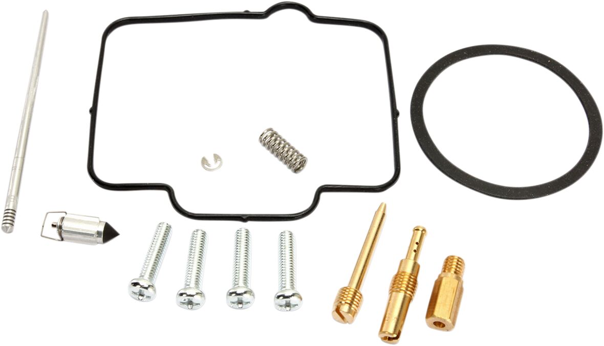 Carburetor Repair Kit
