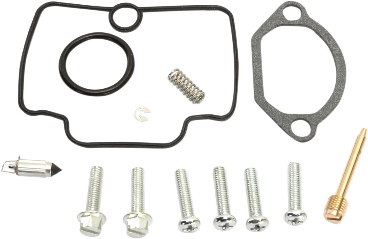 Carburetor Repair Kit