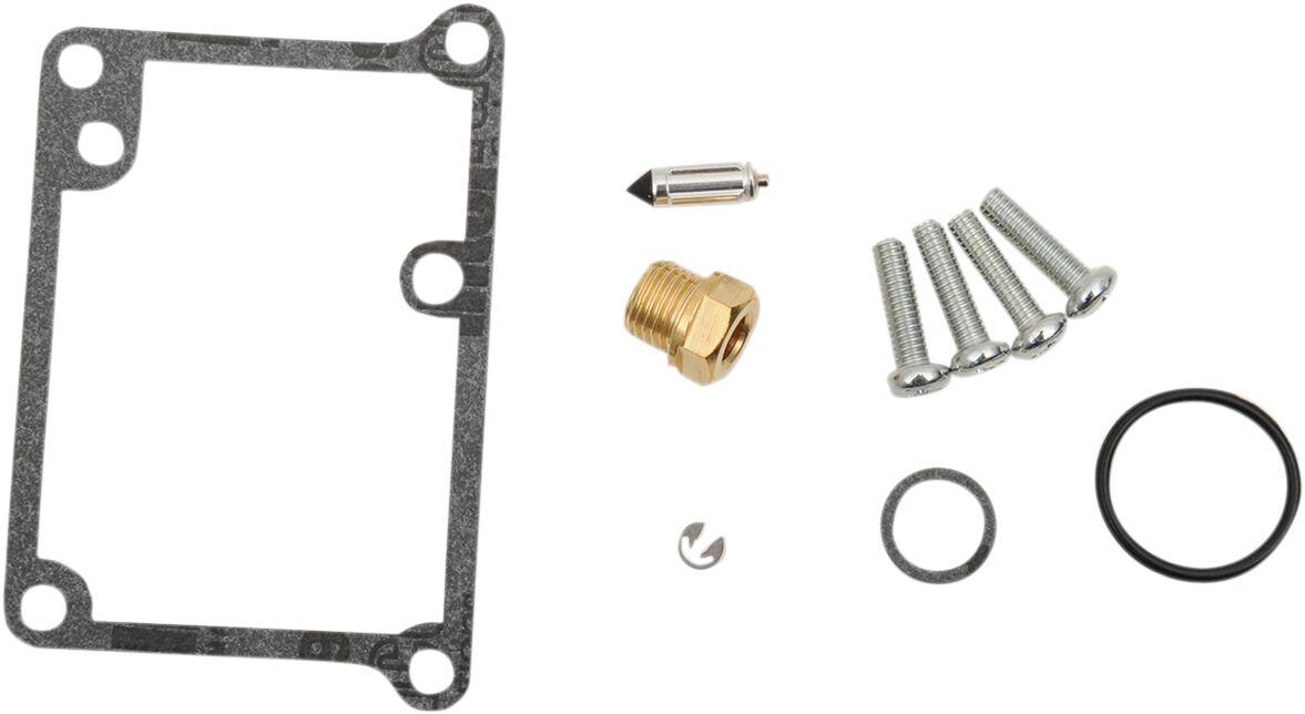 Carburetor Repair Kit