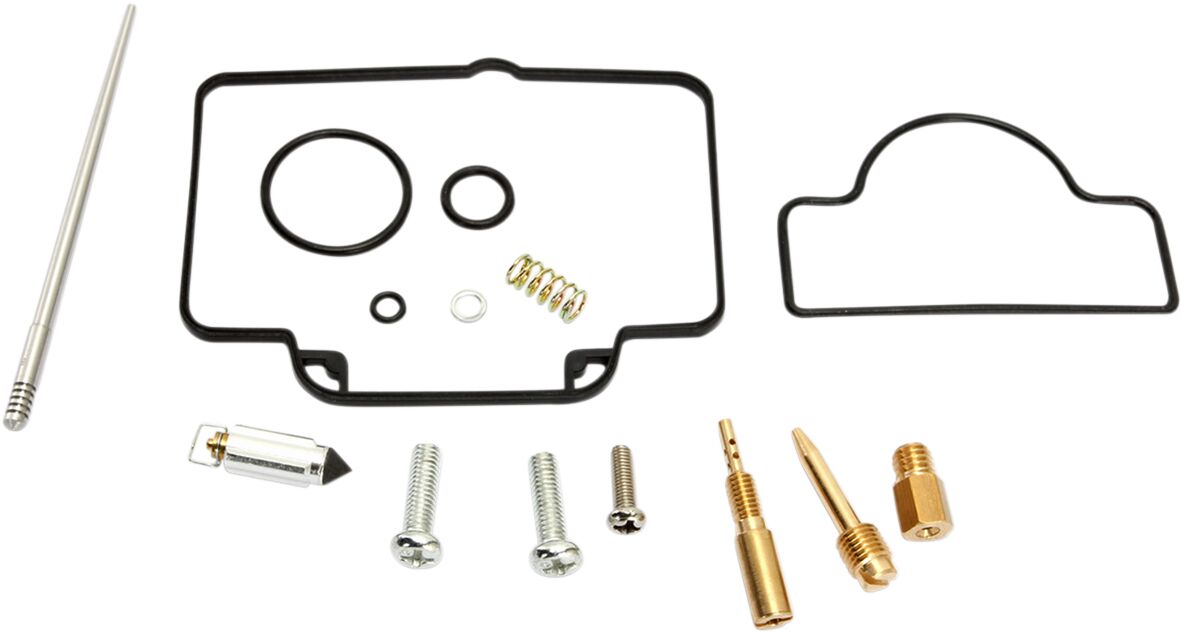 Carburetor Repair Kit