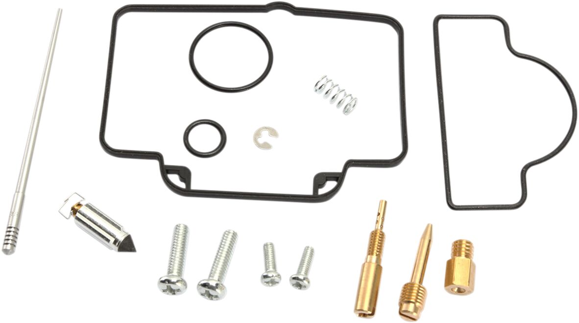 Carburetor Repair Kit