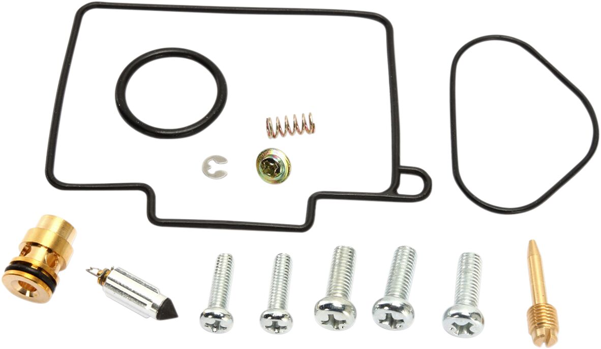 Carburetor Repair Kit