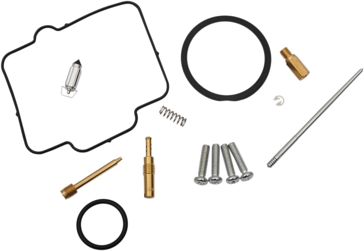 Carburetor Repair Kit