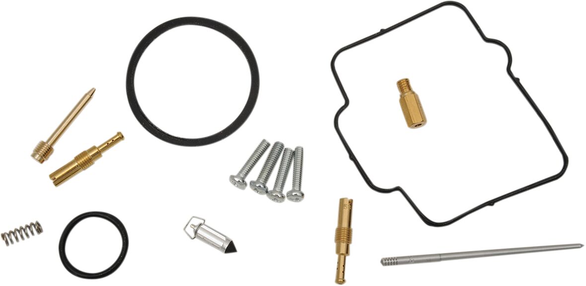 Carburetor Repair Kit
