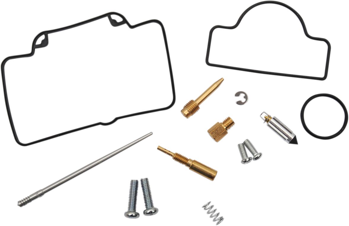 Carburetor Repair Kit