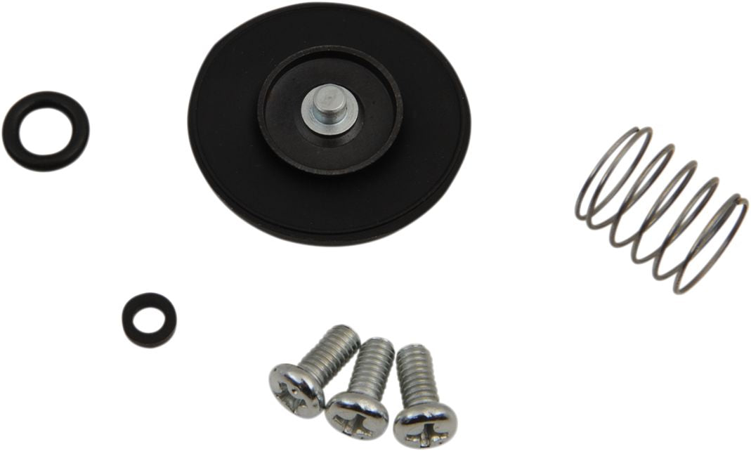 Accelerator Pump Rebuild Kit