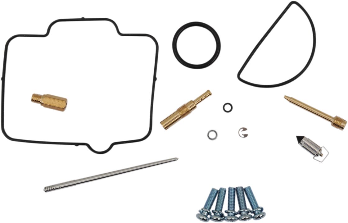 Carburetor Repair Kit