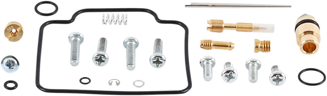 Carburetor Repair Kit