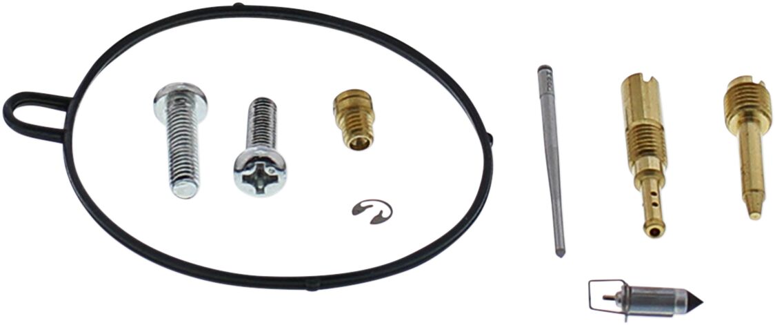 Carburetor Repair Kit