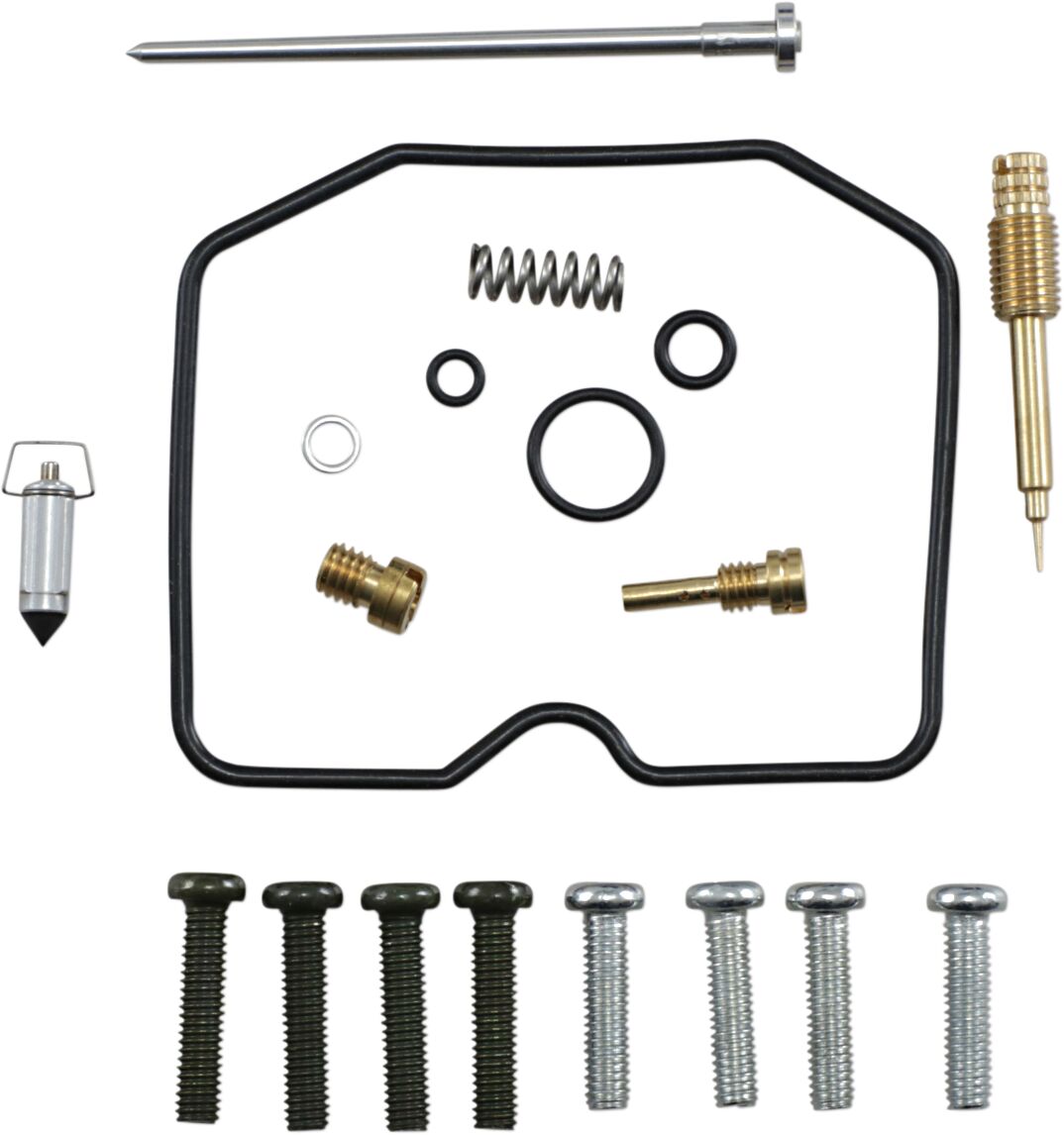 Carburetor Repair Kit