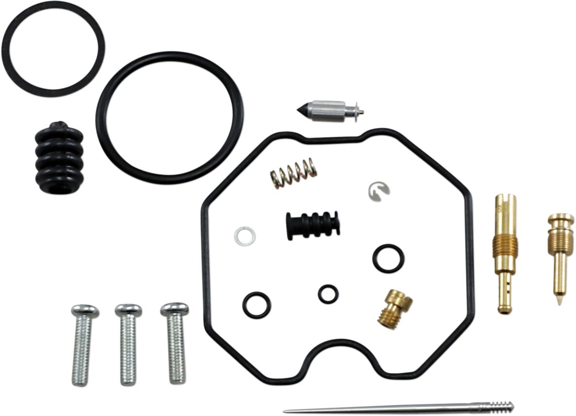 Carburetor Repair Kit