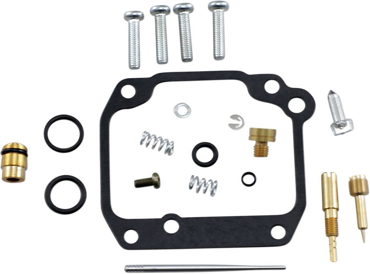 Carburetor Repair Kit