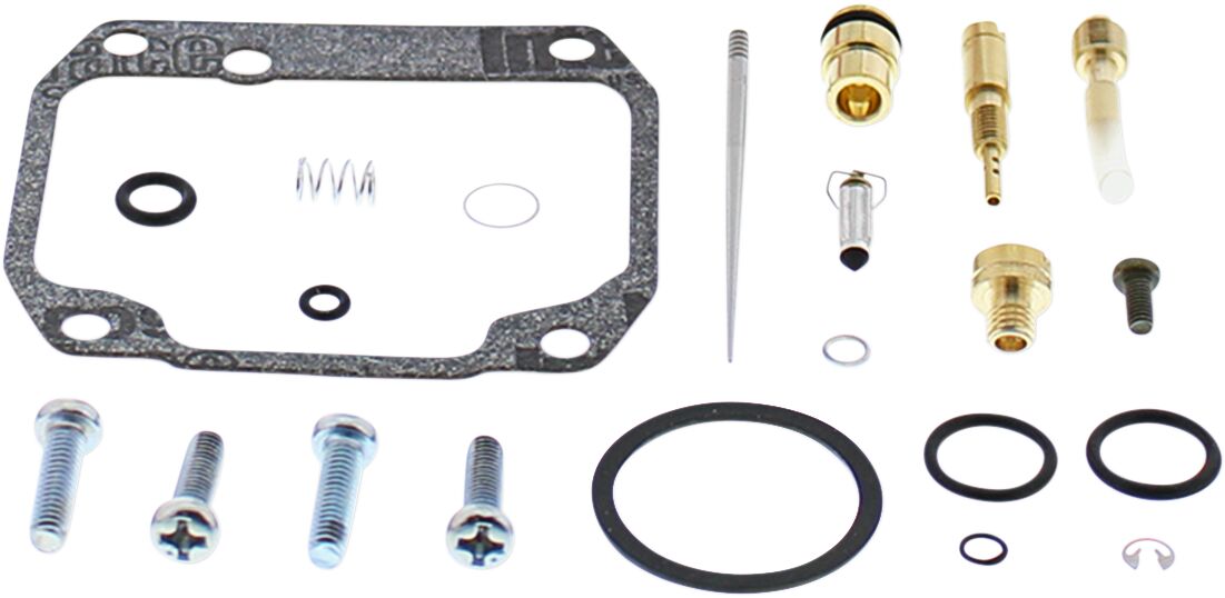 Carburetor Repair Kit