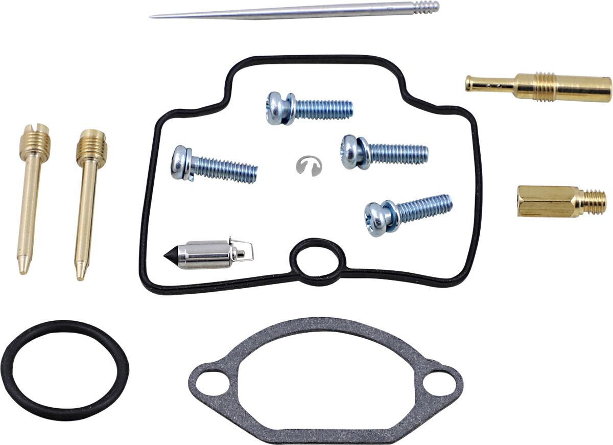 Carburetor Repair Kit