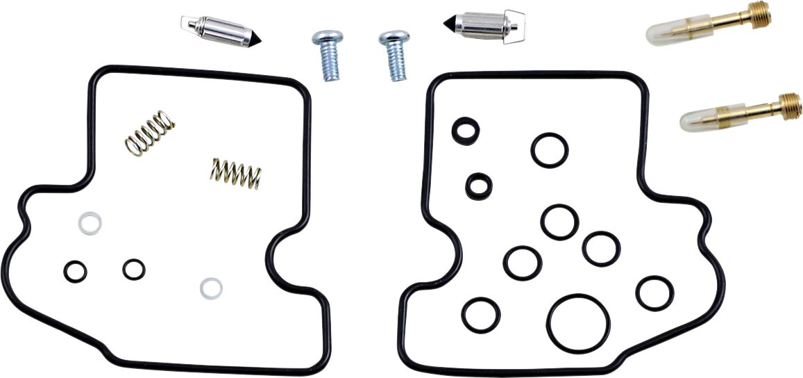Carburetor Repair Kit