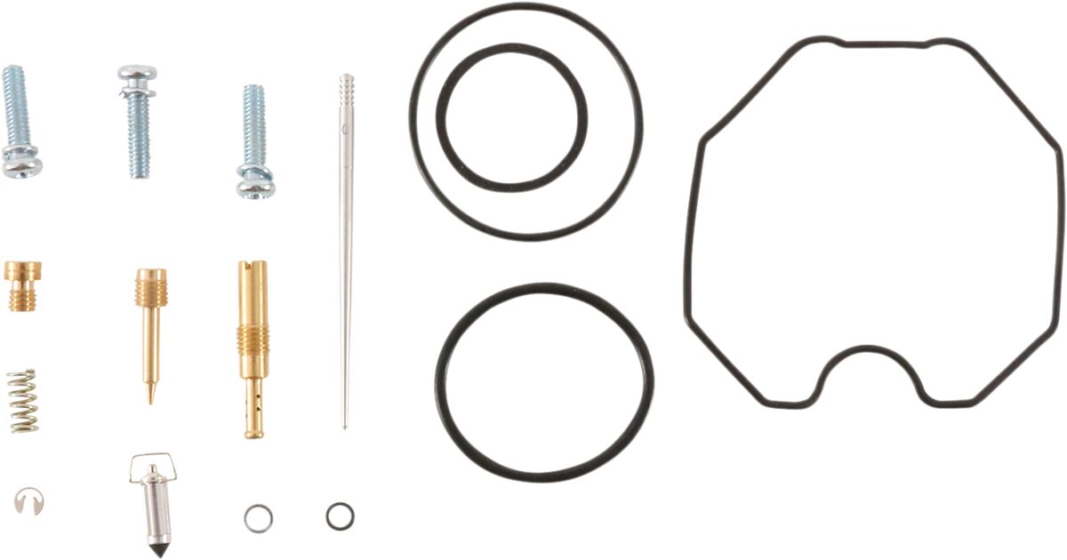 Carburetor Repair Kit