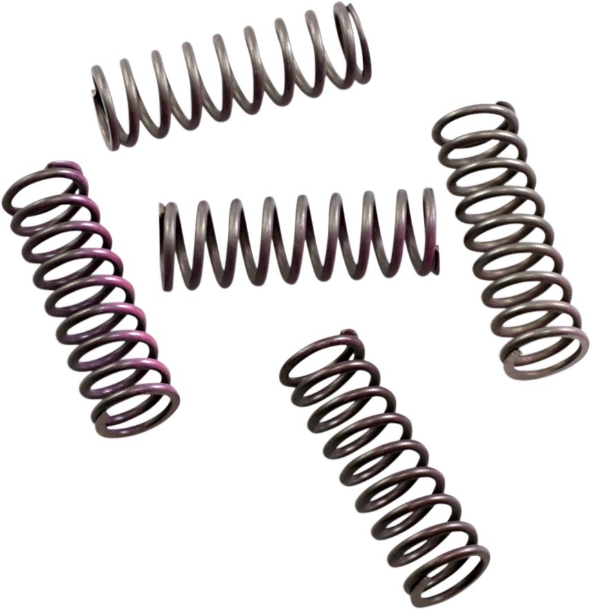 Hi-Temp Clutch Spring Kit