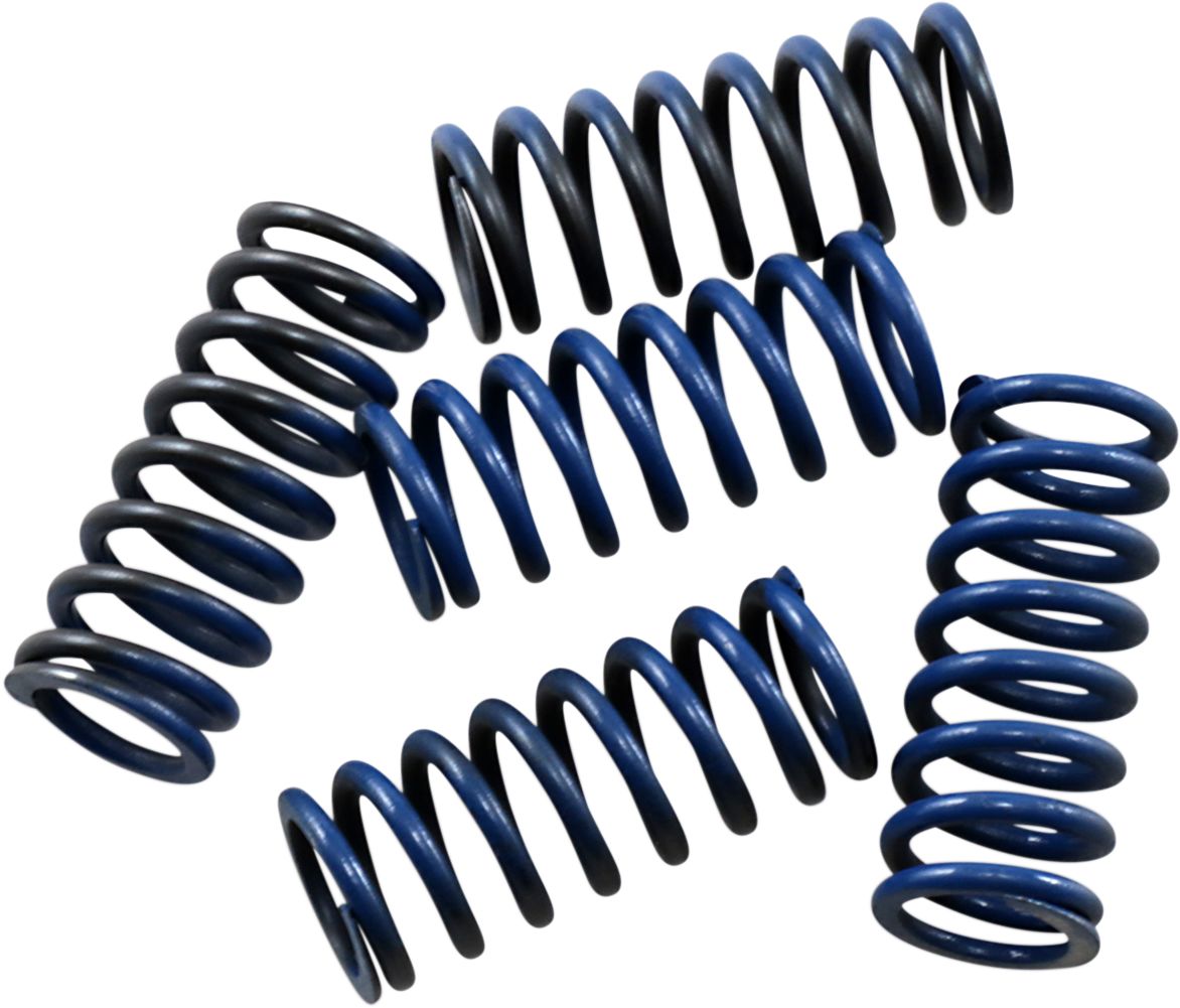 Hi-Temp Clutch Spring Kit