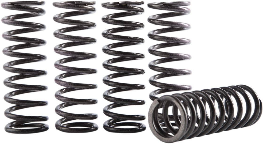 Clutch Spring Kit