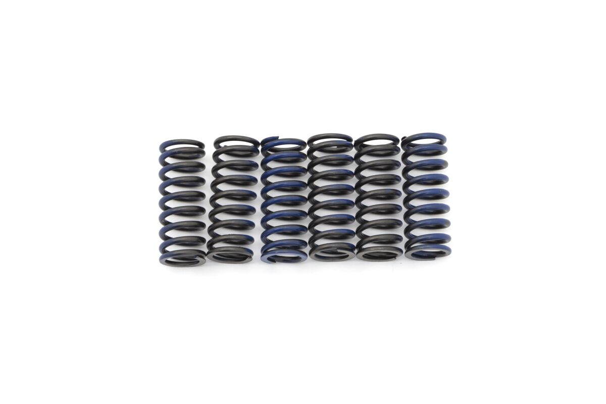 Clutch Spring Kit